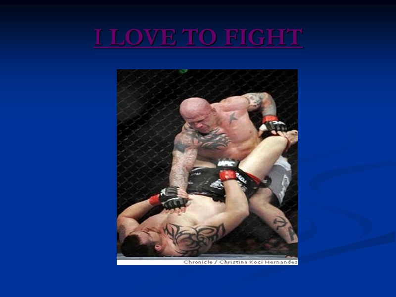 I LOVE TO FIGHT